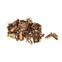 german_quality_door_card_clips_correct_smaller_size_bus_x_50