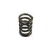 German quality valve spring  Type4 1700cc-2000cc